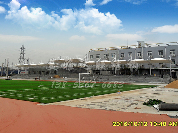 sam_2426